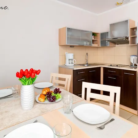 Wonder - Blisko Stoku, Centrum I Aquparku Apartman *